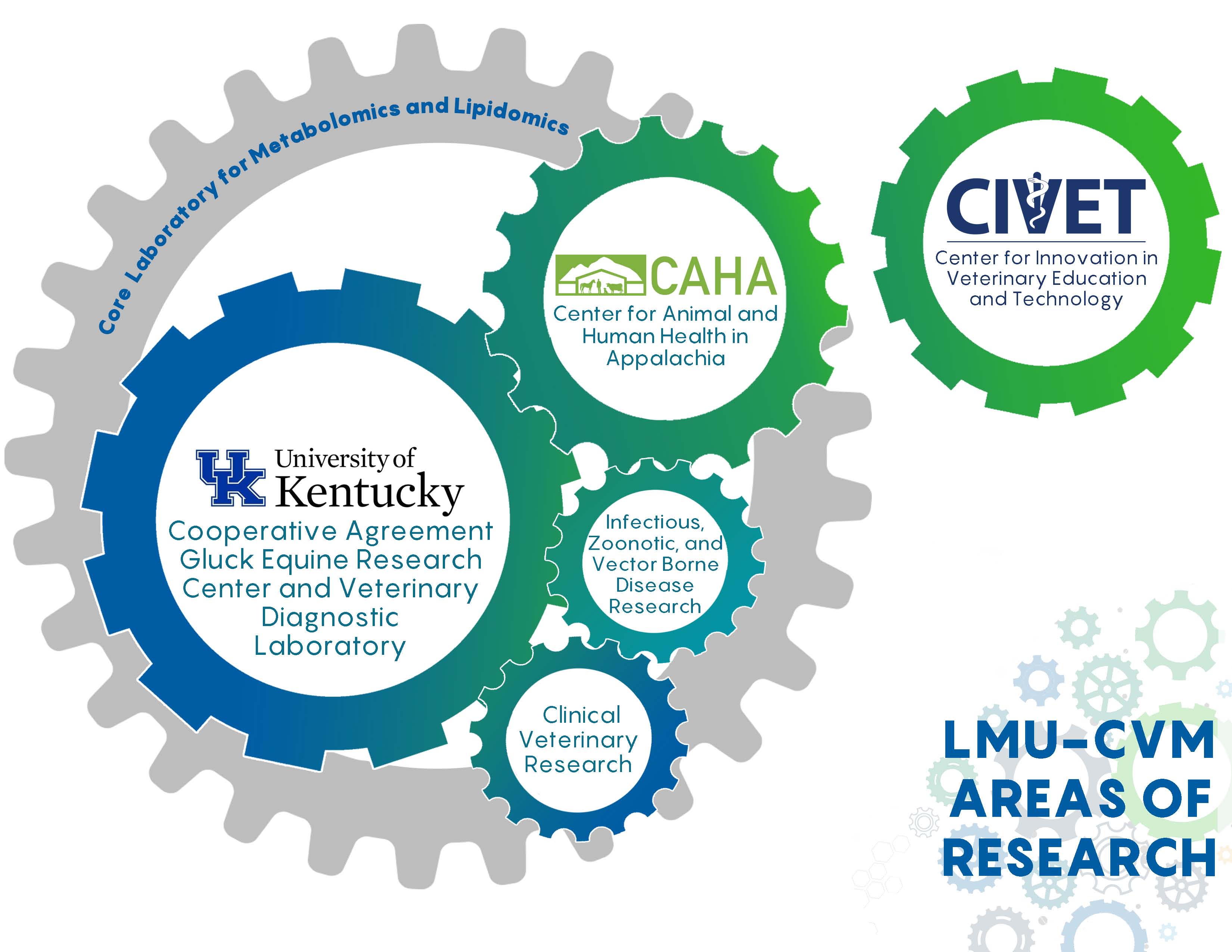 LMU CVM Areas of Research